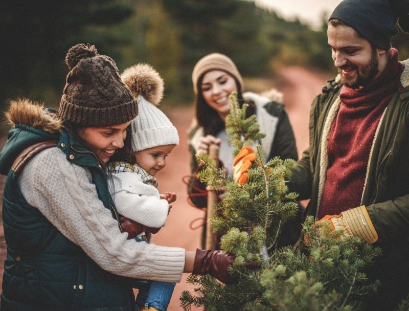 Rocks Estates Christmas Tree Farm